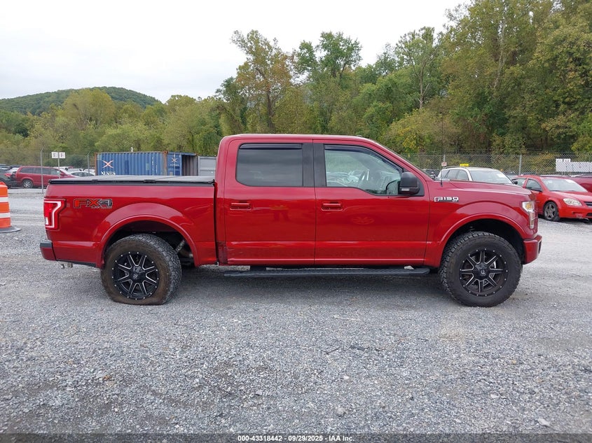 2016 FORD F-150 XLT - 1FTEW1EF1GKF93762