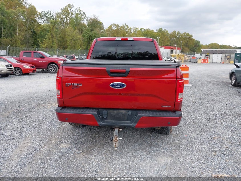 2016 FORD F-150 XLT - 1FTEW1EF1GKF93762