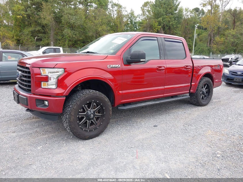 2016 FORD F-150 XLT - 1FTEW1EF1GKF93762