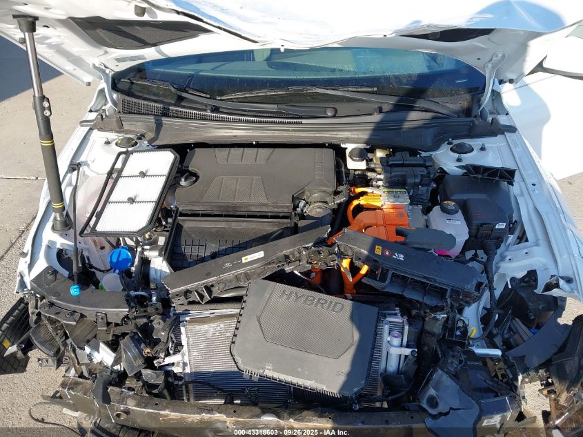 2025 Hyundai Elantra Hybrid Blue VIN: KMHLM4DJ1SU146510 Lot: 43318603