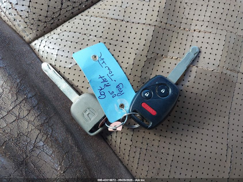 2005 Honda Pilot Ex-L VIN: 5FNYF18545B068186 Lot: 43318872