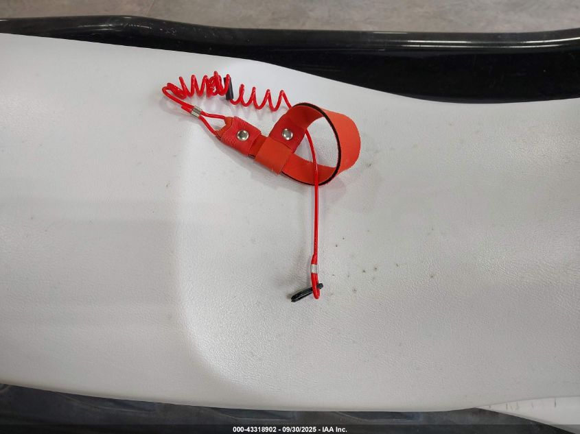 2017 Yamaha Waverunner VIN: USYAMA1808J617 Lot: 43318902