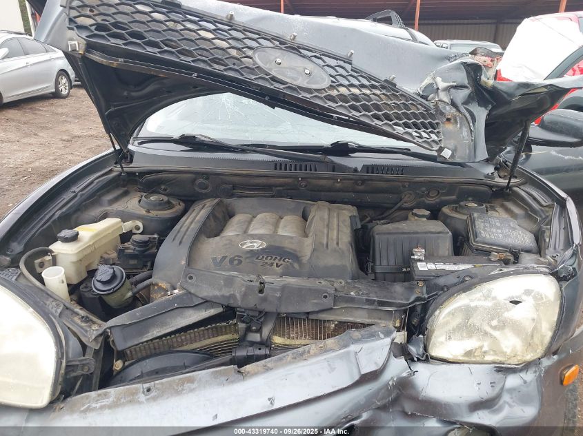 2004 Hyundai Santa Fe Gls VIN: KM8SC13DX4U732585 Lot: 43319740