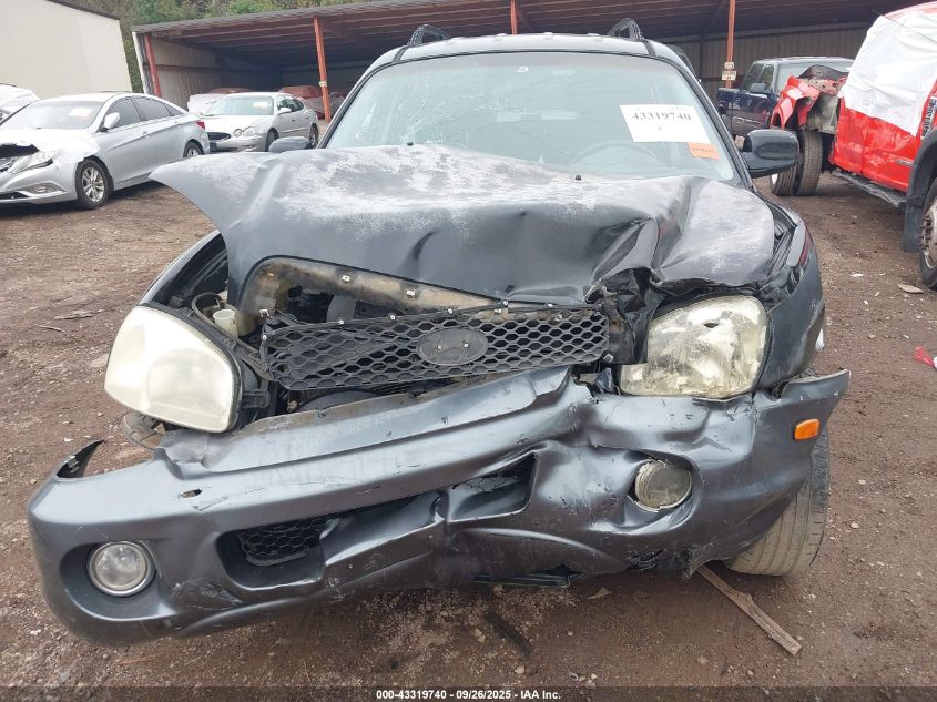 2004 Hyundai Santa Fe Gls VIN: KM8SC13DX4U732585 Lot: 43319740