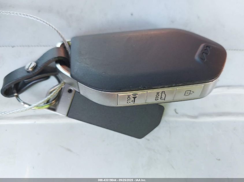 2024 Kia Telluride Sx Prestige X-Line VIN: 5XYP5DGC1RG513045 Lot: 43319844