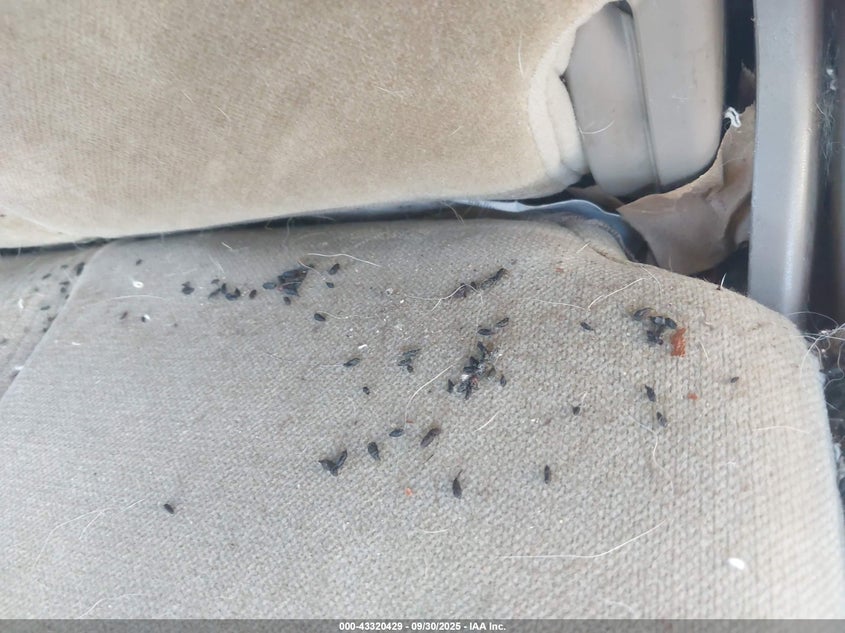 2005 Hyundai Tucson Gls/Lx VIN: KM8JN72D55U121939 Lot: 43320429