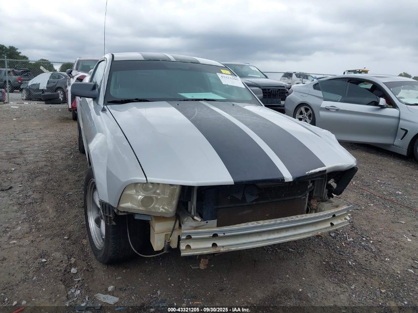 2005 Ford Mustang V6 Deluxe/V6 Premium VIN: 1ZVFT80N255128131 Lot: 43321205