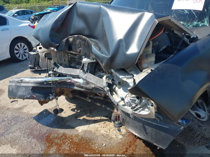 1998 Ford F-150 Lariat/Standard/Xl/Xlt VIN: 1FTDX1769WNA09062 Lot: 43323189