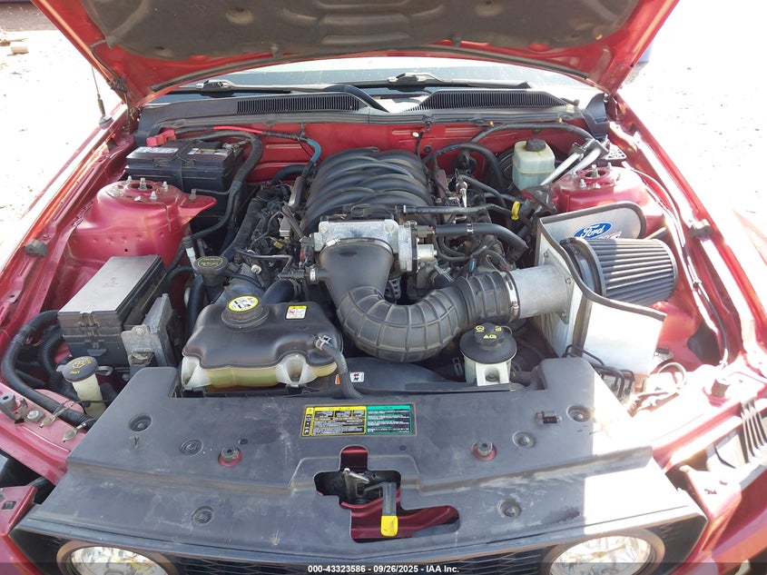 2005 Ford Mustang Gt Deluxe/Gt Premium VIN: 1ZVHT82H555212329 Lot: 43323586