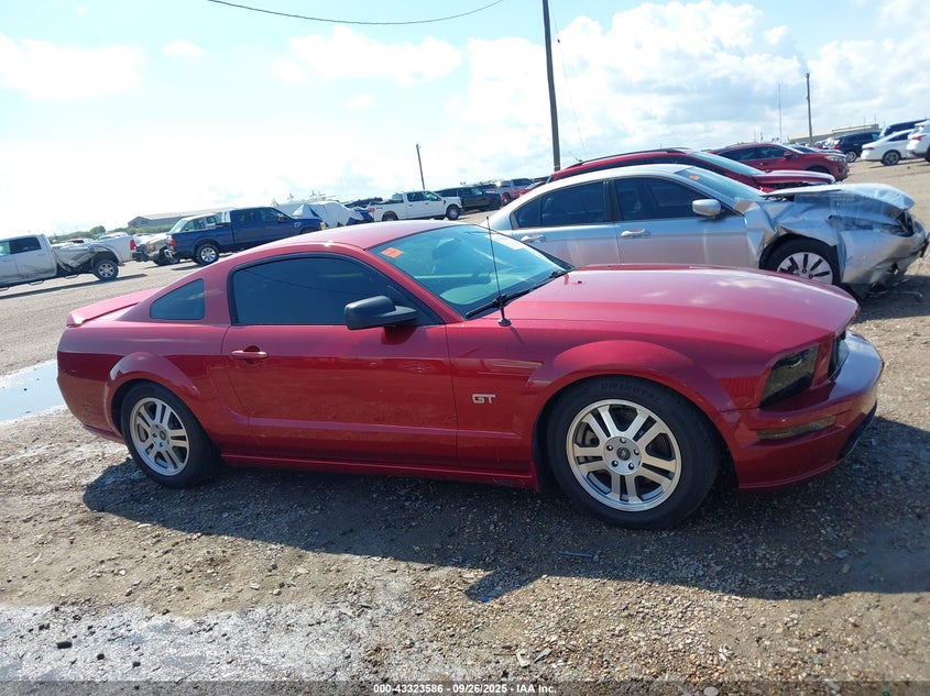 2005 Ford Mustang Gt Deluxe/Gt Premium VIN: 1ZVHT82H555212329 Lot: 43323586