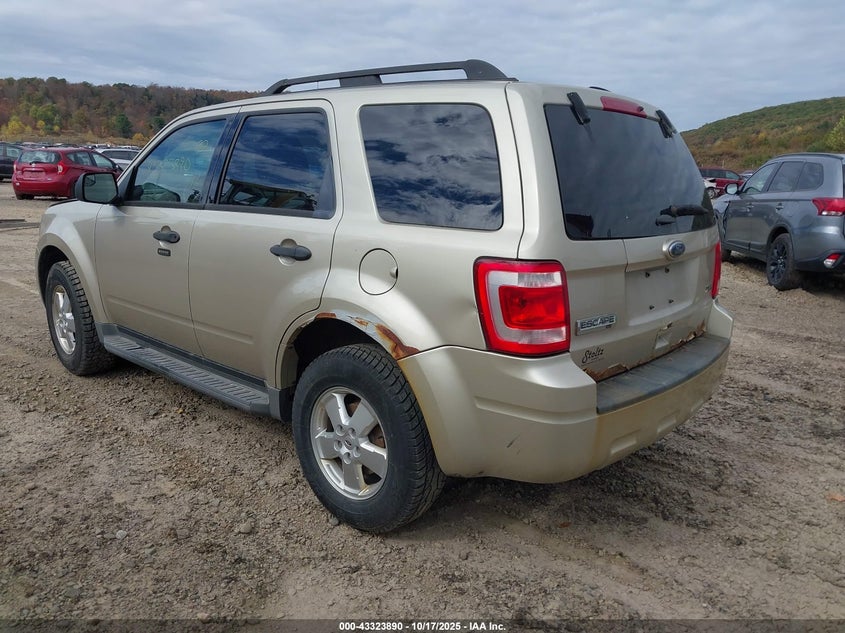 Vin: 1fmcu9dg3bkb21668, lot: 43818555, ford escape xlt 20113