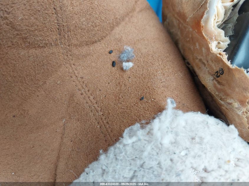 2006 Acura Tsx VIN: JH4CL96976C033257 Lot: 43324320