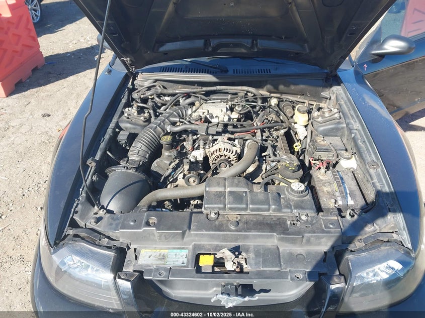 2003 Ford Mustang Gt VIN: 1FAFP42X13F447886 Lot: 43324602