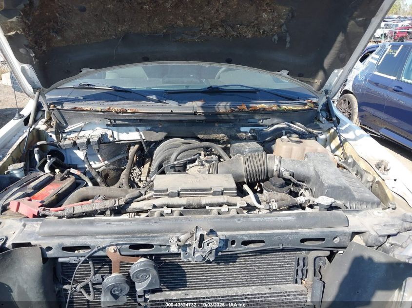 2010 Ford F-150 Stx/Xl/Xlt VIN: 1FTEX1E81AFA64181 Lot: 43324732