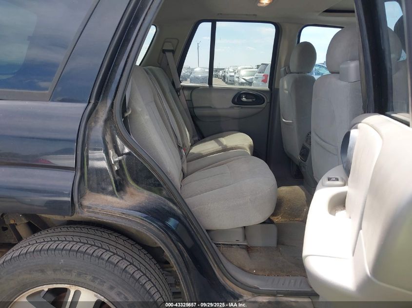 2005 Chevrolet Trailblazer Ls VIN: 1GNDS13S252163217 Lot: 43325657