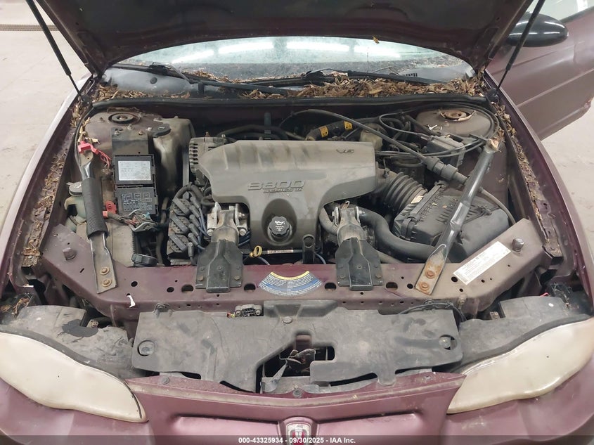 2004 Chevrolet Monte Carlo Ss VIN: 2G1WX15K749121330 Lot: 43325934