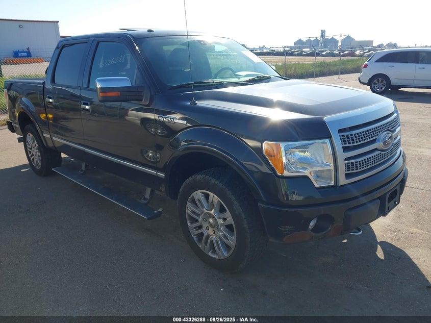 FORD F-150 PLATINUM