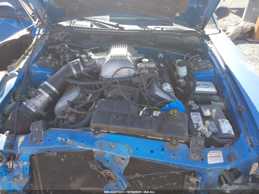 1998 Ford Mustang Svt Cobra VIN: 1FAFP47V7WF127726 Lot: 43327231