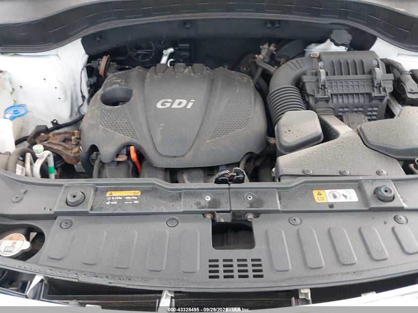 2014 Kia Sorento Lx VIN: 5XYKTCA62EG439156 Lot: 43328495