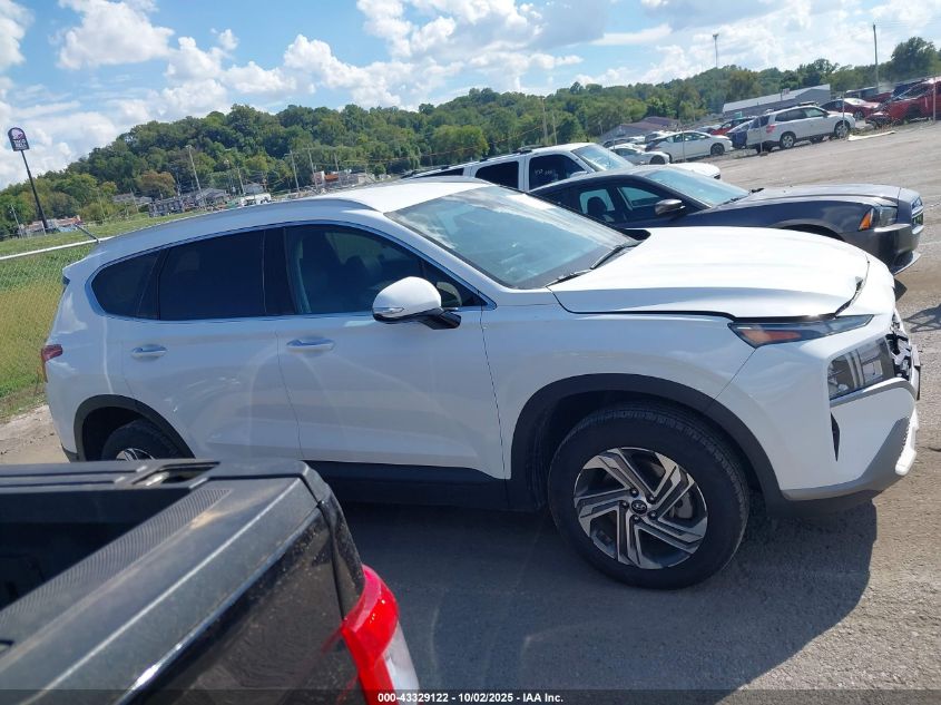 2023 Hyundai Santa Fe Sel VIN: 5NMS2DAJ5PH531092 Lot: 43329122