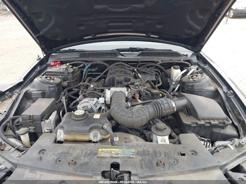 2009 Ford Mustang V6/V6 Premium VIN: 1ZVHT80N095139515 Lot: 43329244
