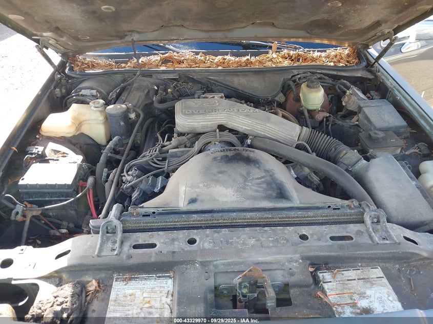 1992 Lincoln Town Car Executive VIN: 1LNLM81W6NY652385 Lot: 43329970