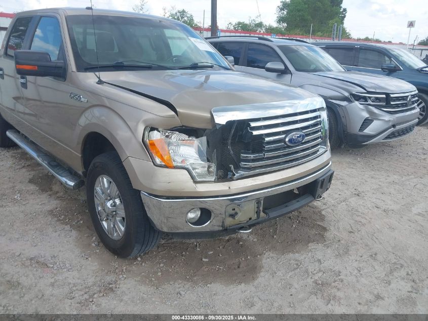 2011 Ford F150 Supercrew VIN: 1FTFW1EFXBFC75449 Lot: 43330086