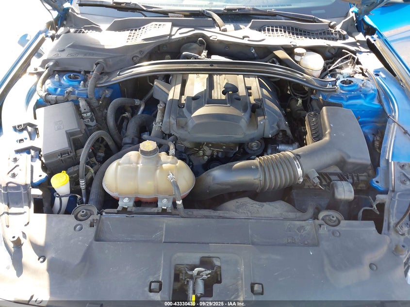 2019 FORD MUSTANG ECOBOOST - 1FA6P8TH9K5196585