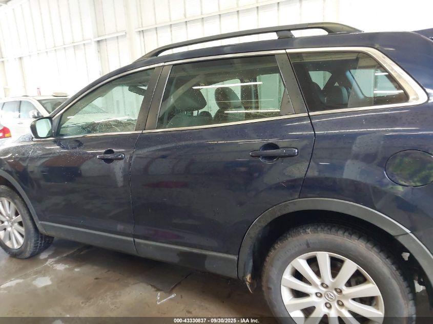 2009 Mazda Cx-9 Touring VIN: JM3TB28A990179885 Lot: 43330837