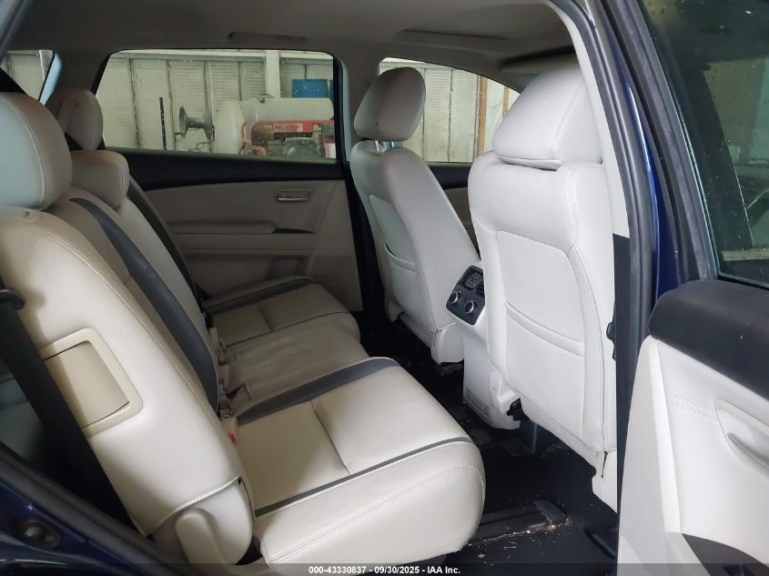 2009 Mazda Cx-9 Touring VIN: JM3TB28A990179885 Lot: 43330837