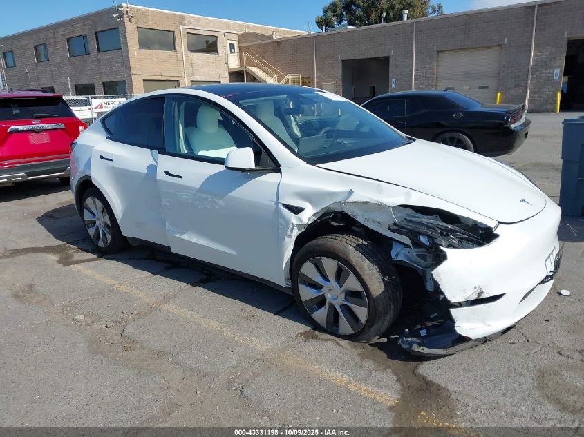 TESLA MODEL Y MODEL Y