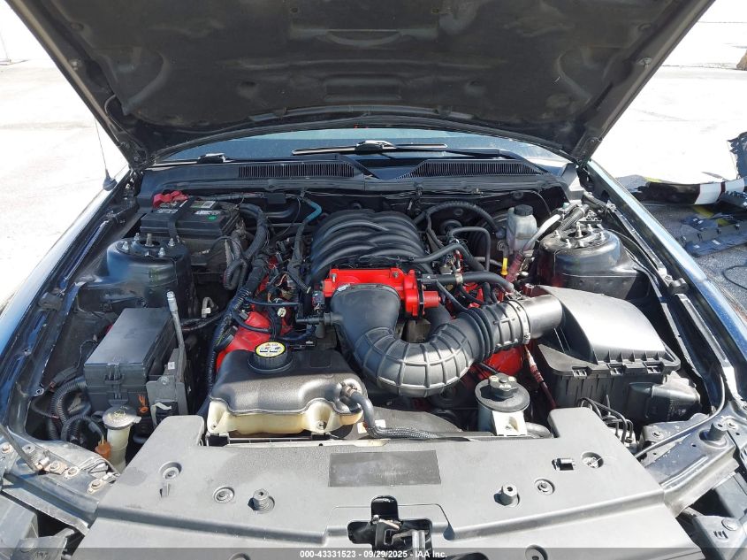 2009 Ford Mustang Gt Premium VIN: 1ZVHT82H995103071 Lot: 43331523