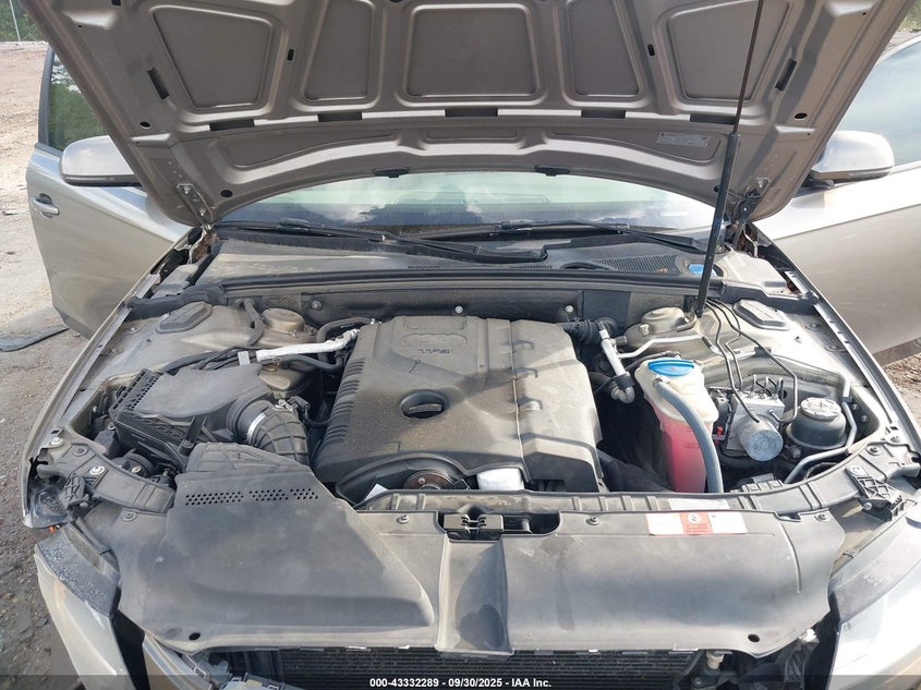 2009 Audi A4 2.0T Premium VIN: WAULF78K29N025019 Lot: 43332289