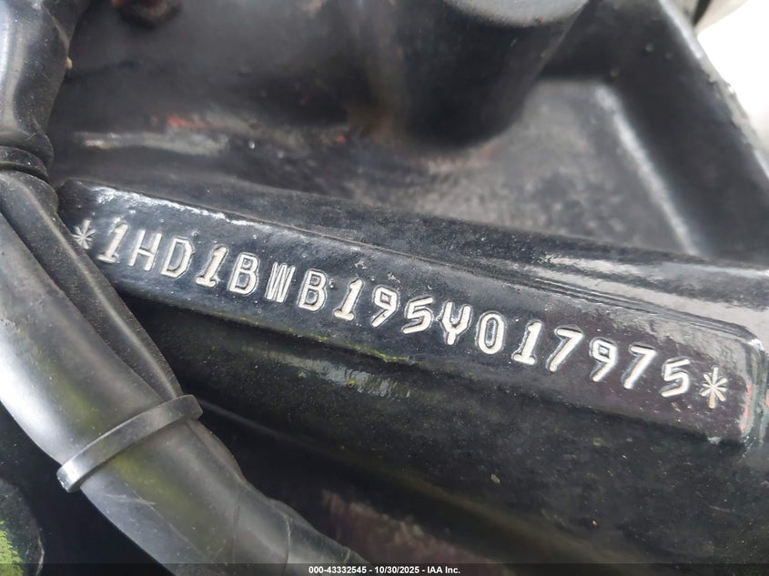 2005 Harley-Davidson Flstci VIN: 1HD1BWB195Y017975 Lot: 43332545