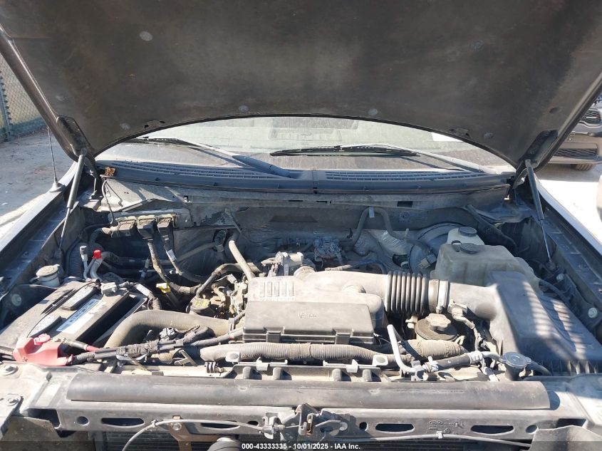 2010 Ford F-150 Stx/Xl/Xlt VIN: 1FTMF1CWXAKA18663 Lot: 43333335