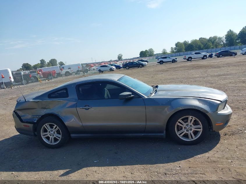 2010 Ford Mustang V6/V6 Premium VIN: 1ZVBP8AN5A5130774 Lot: 43333783