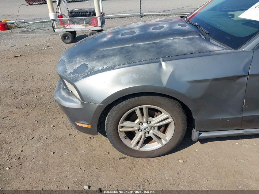 2010 Ford Mustang V6/V6 Premium VIN: 1ZVBP8AN5A5130774 Lot: 43333783