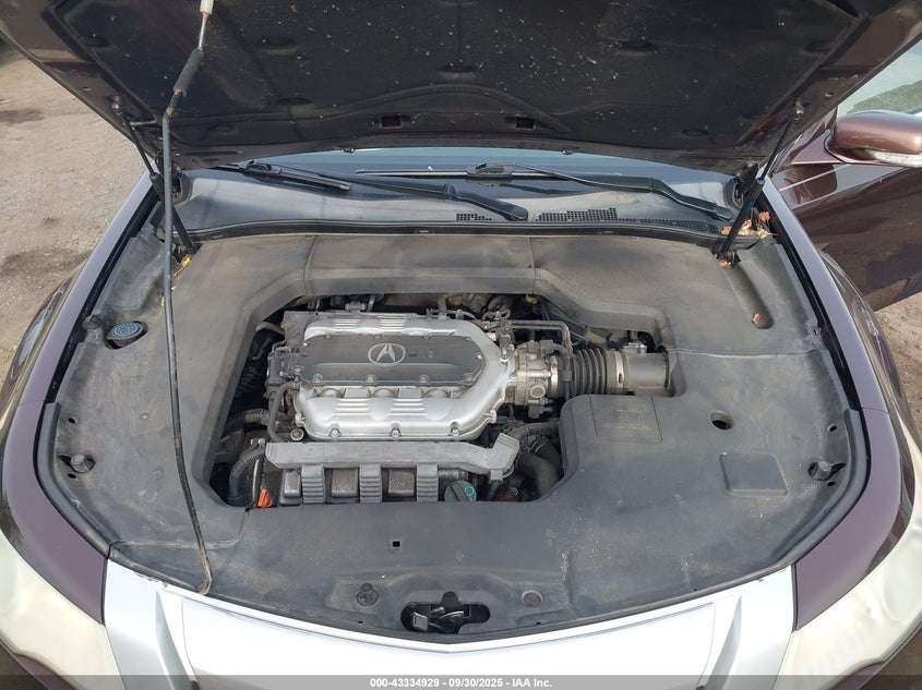 2009 Acura Tl 3.5 VIN: 19UUA86219A015511 Lot: 43334929