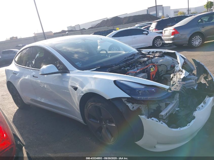 2023 Tesla Model 3 Rear-Wheel Drive VIN: 5YJ3E1EA3PF407778 Lot: 43334993