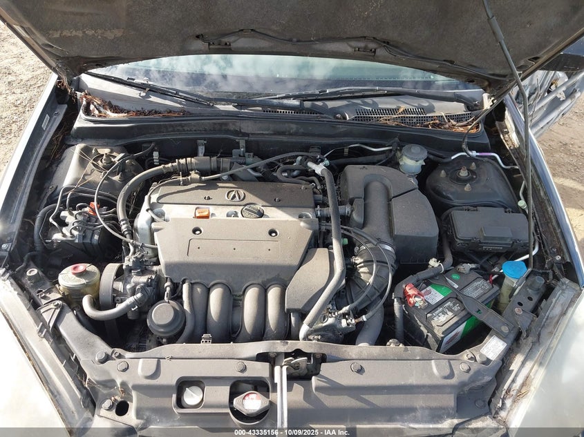 2002 Acura Rsx VIN: JH4DC54872C039576 Lot: 43335156