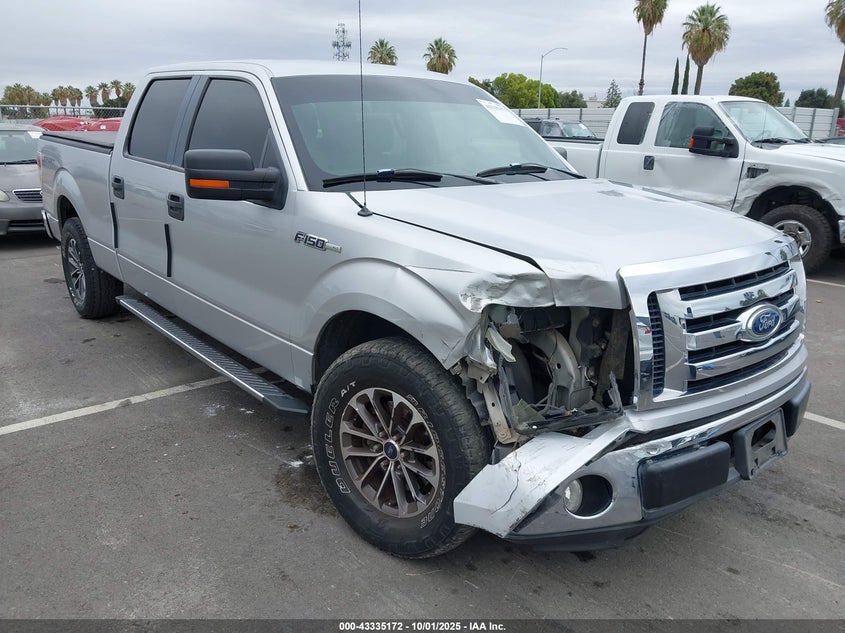 FORD F-150 FX2 SPORT/XL/XLT