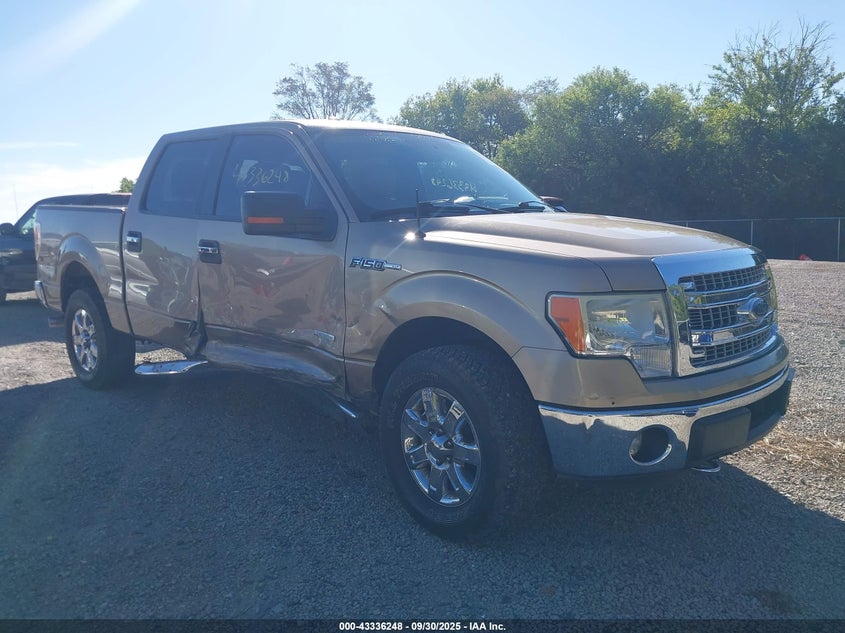 1FTFW1ET3DKE51645 2013 Ford F-150 Xlt auction photo 1