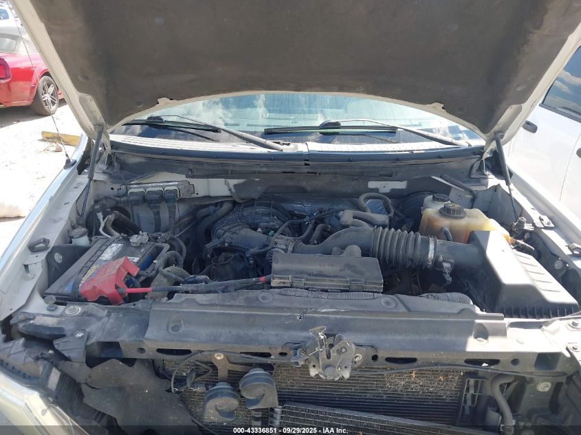 2013 Ford F-150 Xl VIN: 1FTMF1CM9DFB20984 Lot: 43336851