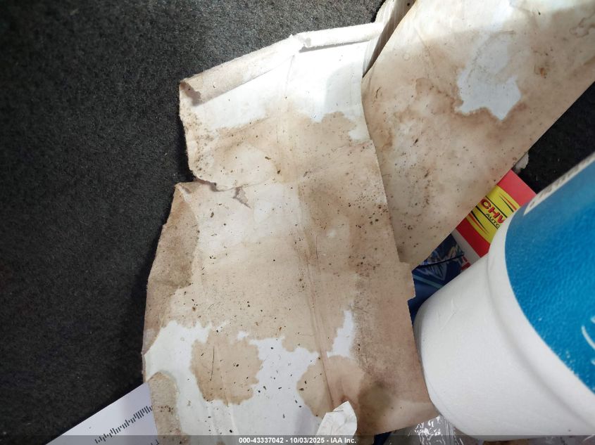 2002 Ford Mustang VIN: 1FAFP40462F237629 Lot: 43337042