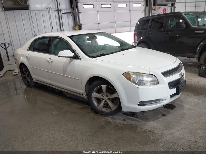 CHEVROLET MALIBU 1LT