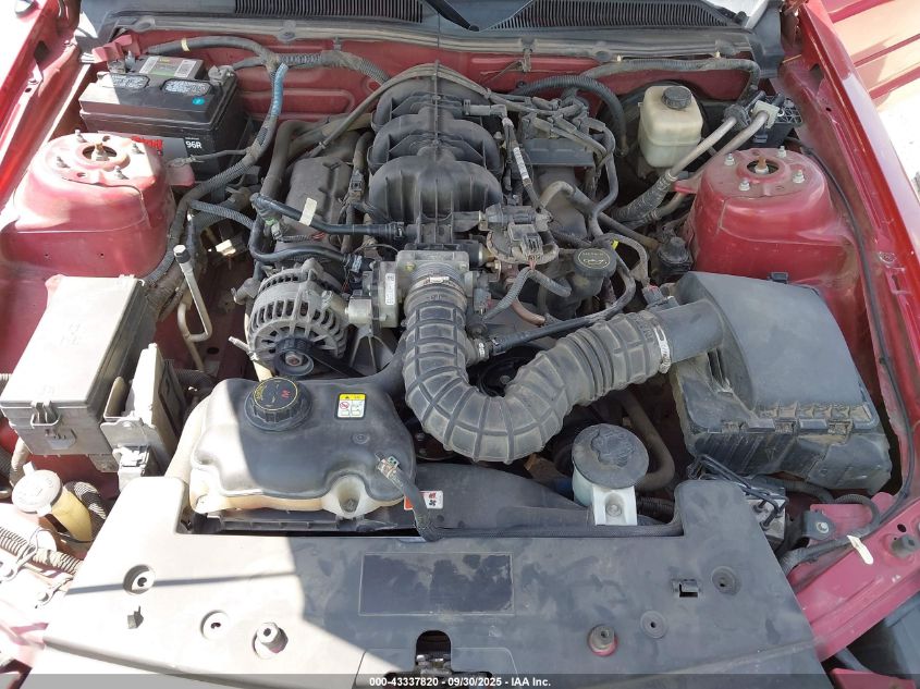 2008 Ford Mustang V6 Deluxe/V6 Premium VIN: 1ZVHT84N985204855 Lot: 43337820