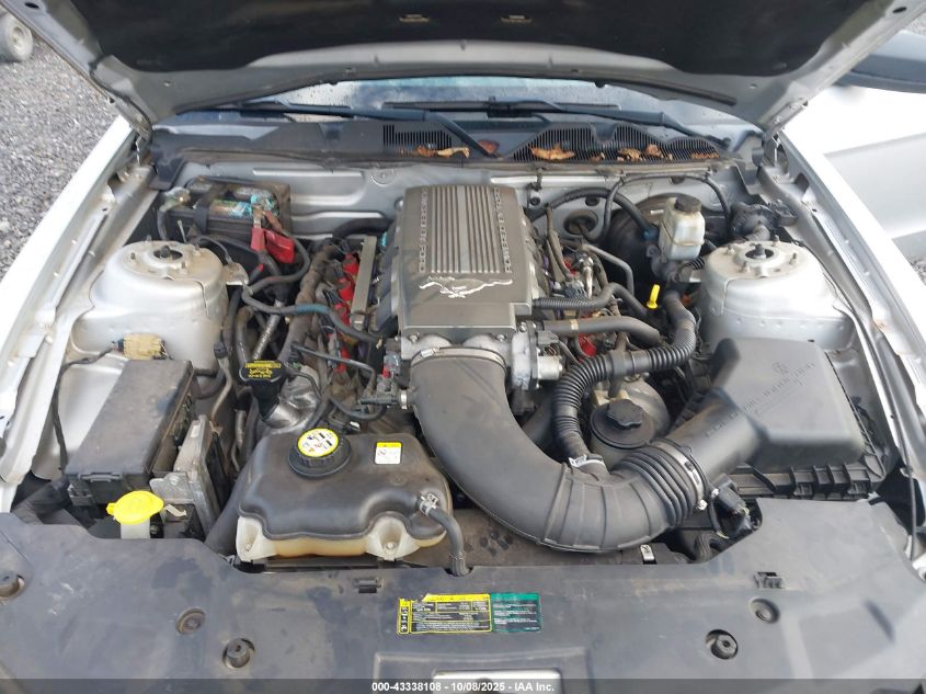 2010 Ford Mustang Gt Premium VIN: 1ZVBP8CH7A5113708 Lot: 43338108