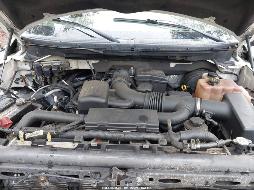 2009 Ford F-150 Fx4/King Ranch/Lariat/Platinum/Xl/Xlt VIN: 1FTPW14V19FA69668 Lot: 43338578