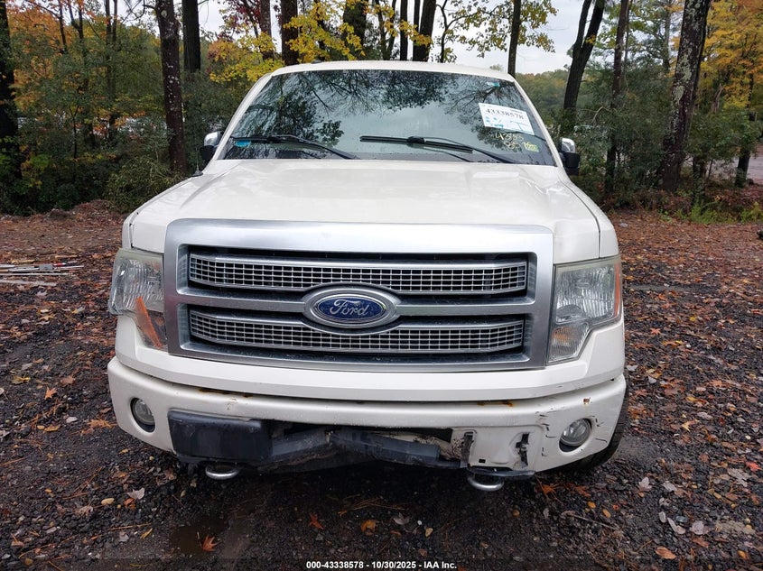 2009 Ford F-150 Fx4/King Ranch/Lariat/Platinum/Xl/Xlt VIN: 1FTPW14V19FA69668 Lot: 43338578