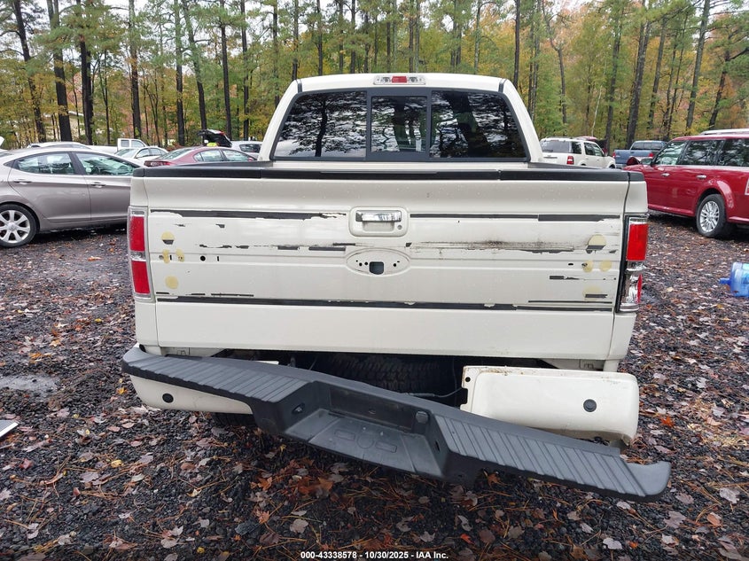 2009 Ford F-150 Fx4/King Ranch/Lariat/Platinum/Xl/Xlt VIN: 1FTPW14V19FA69668 Lot: 43338578